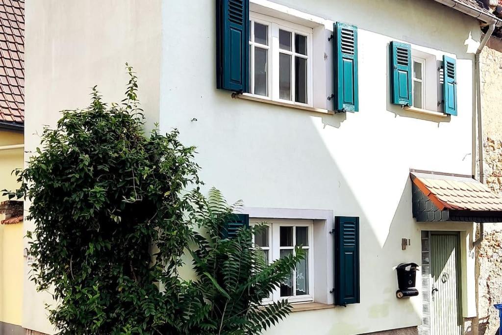 Schoenes Gemuetliches Haus Toplage Freinsheim Luaran gambar